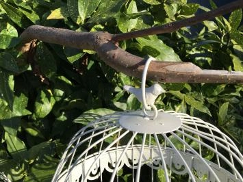 Ensemble cages à oiseaux, petit + grand rond, métal, blanc
